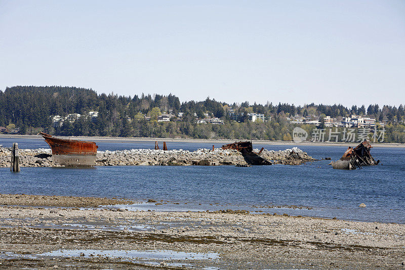 Comox /Courtney Vancouver岛和海滩上的老船难